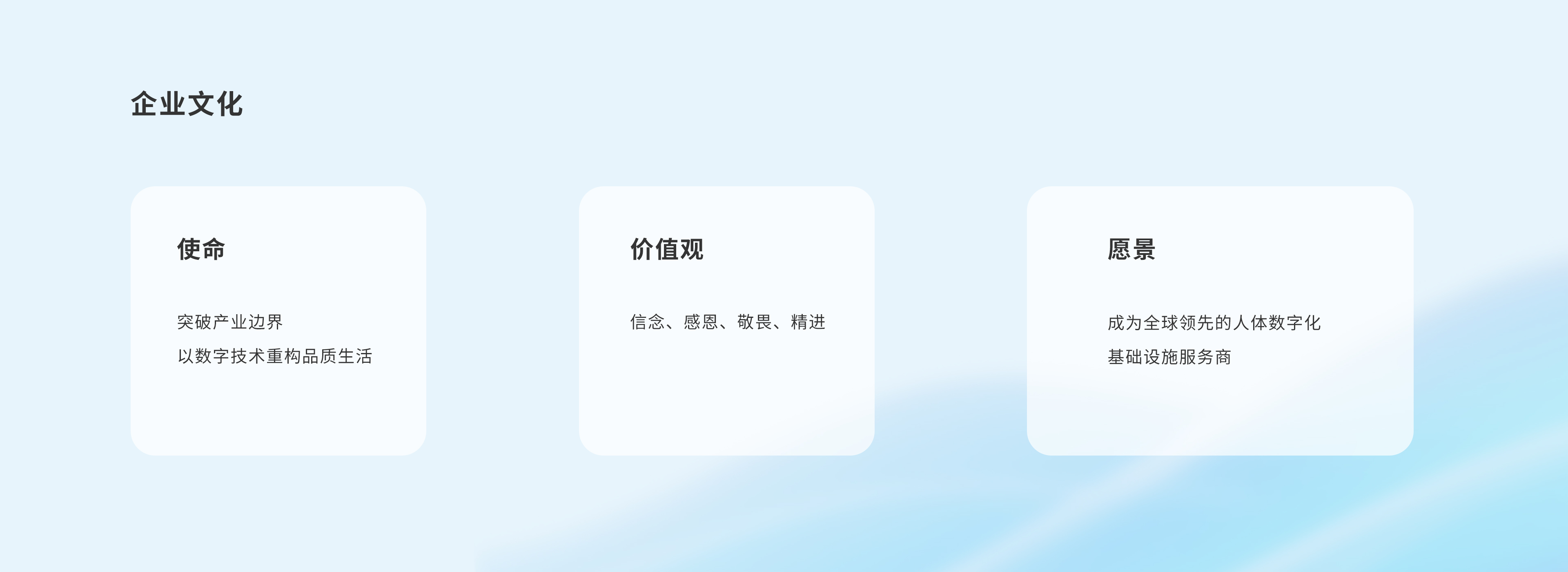 公司介绍
