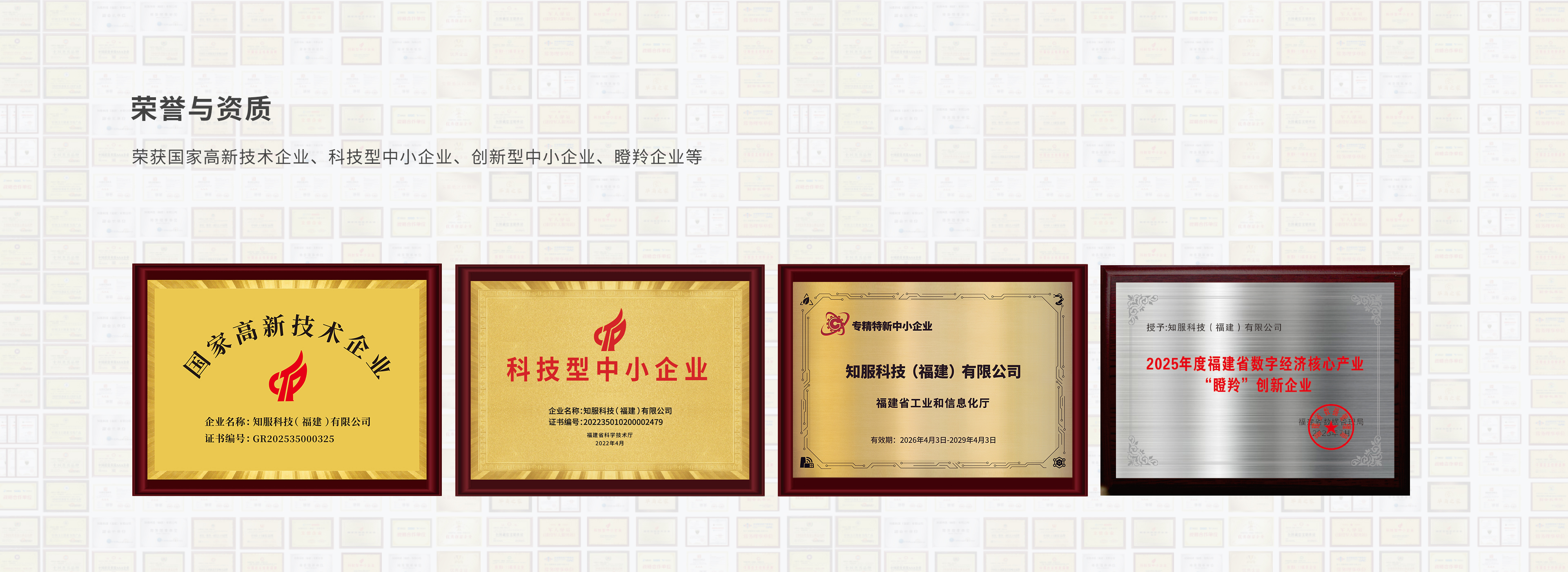 公司介绍