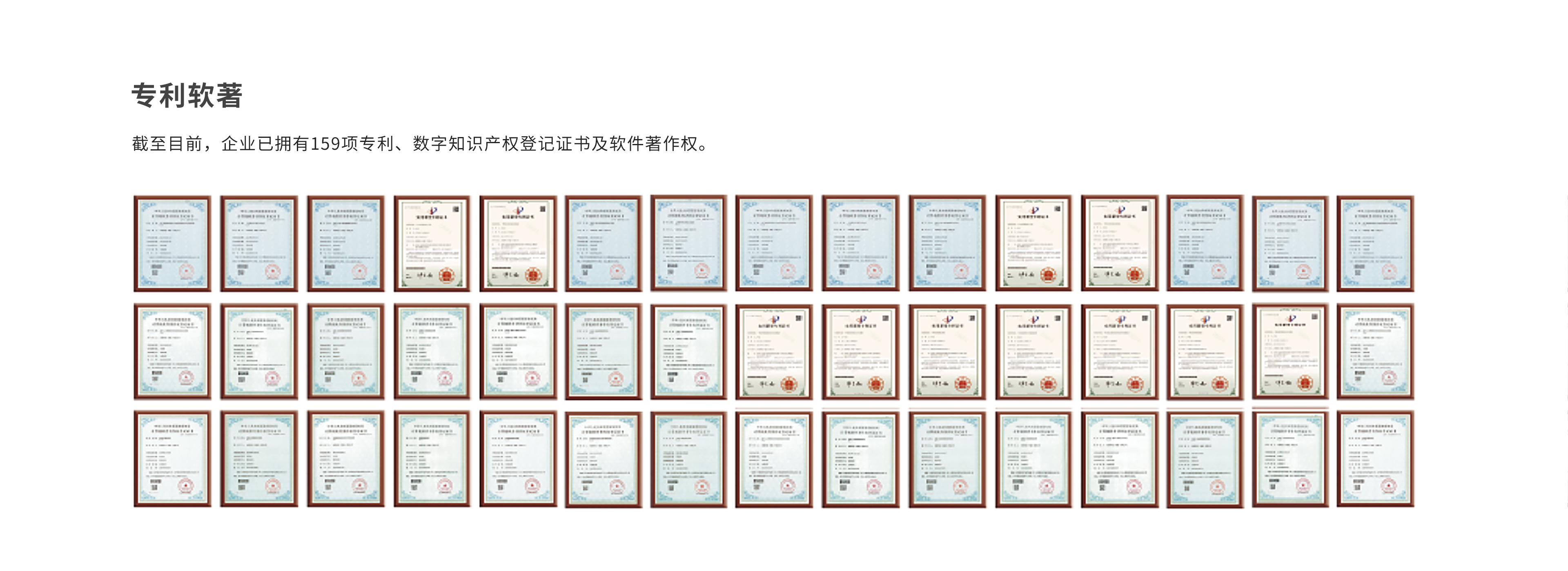 公司介绍