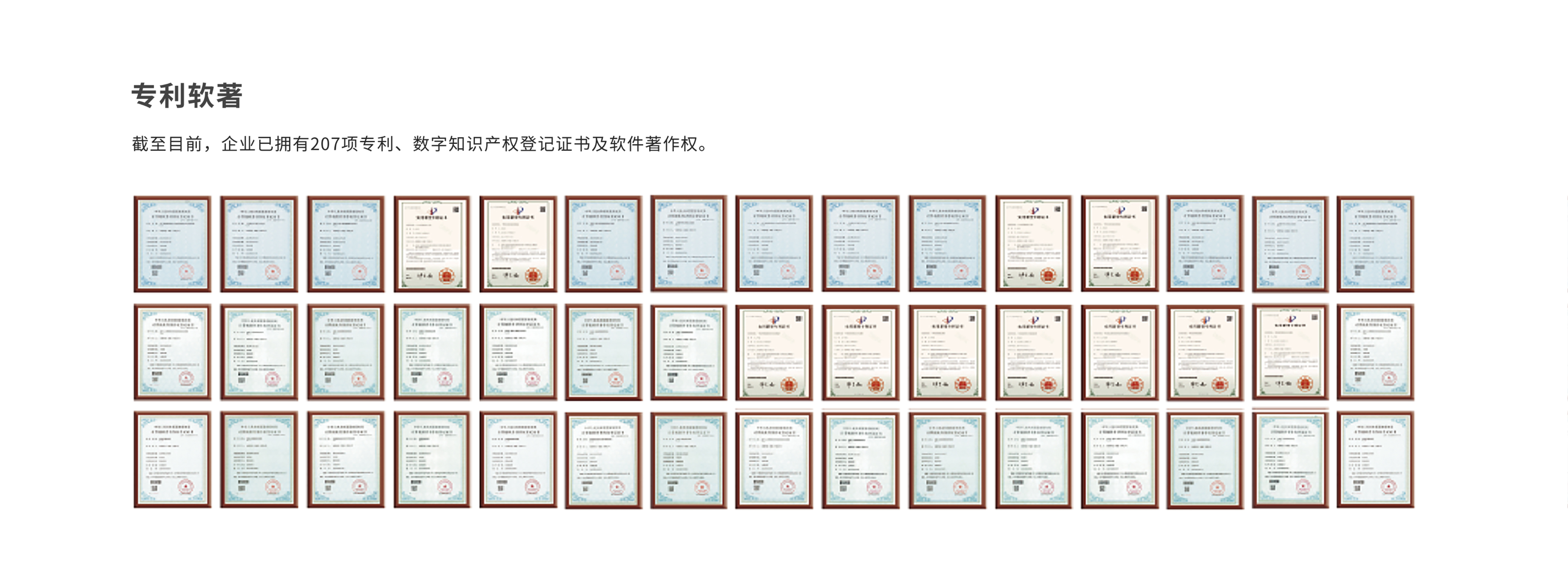 公司介绍