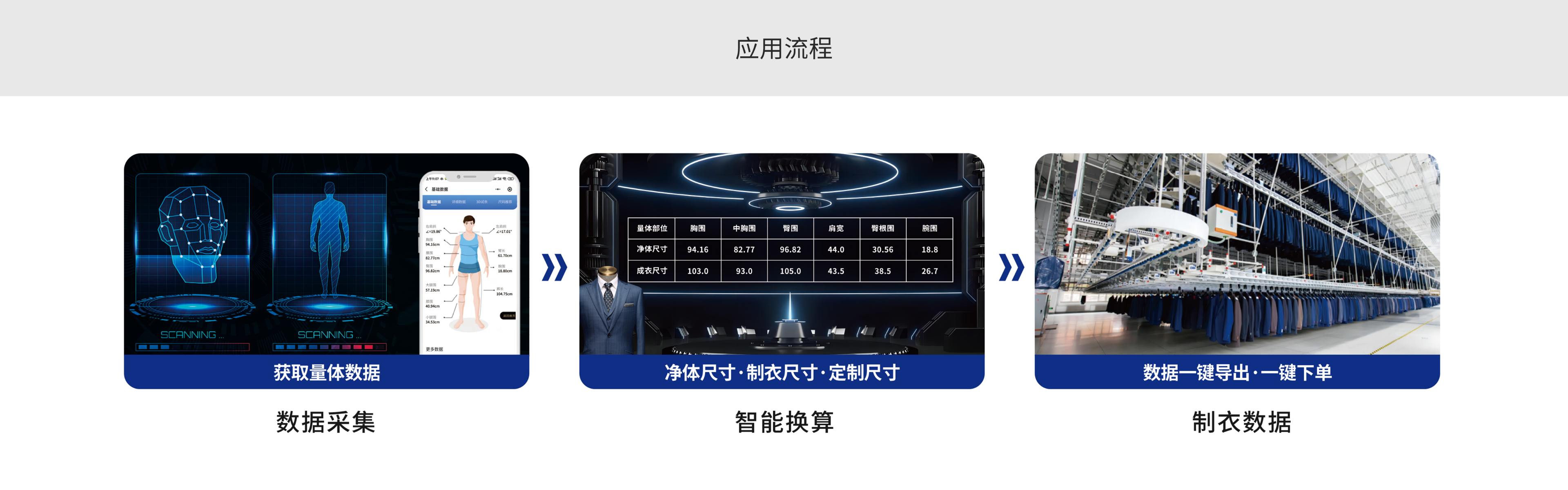 知服智量