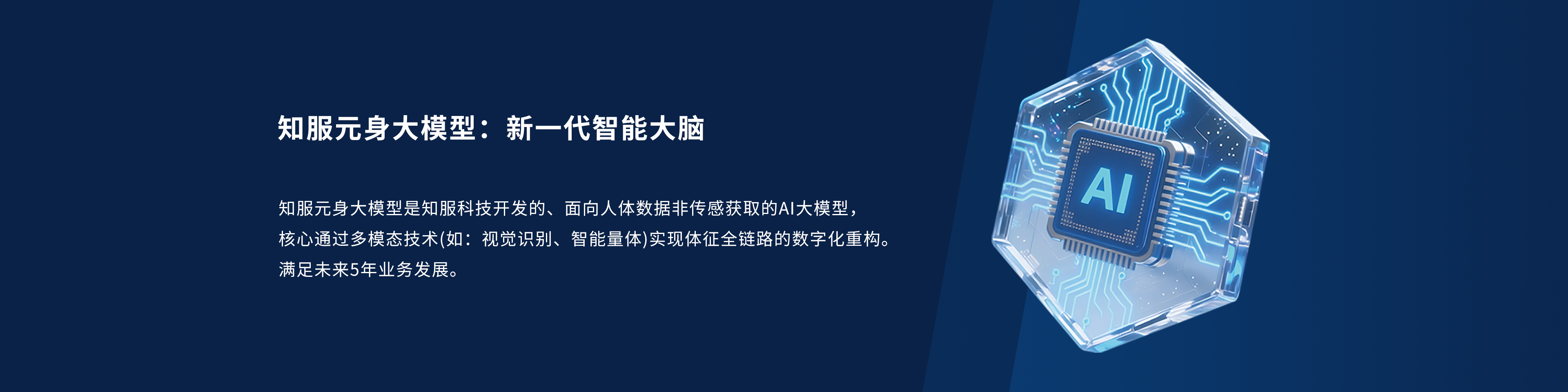 元身大模型